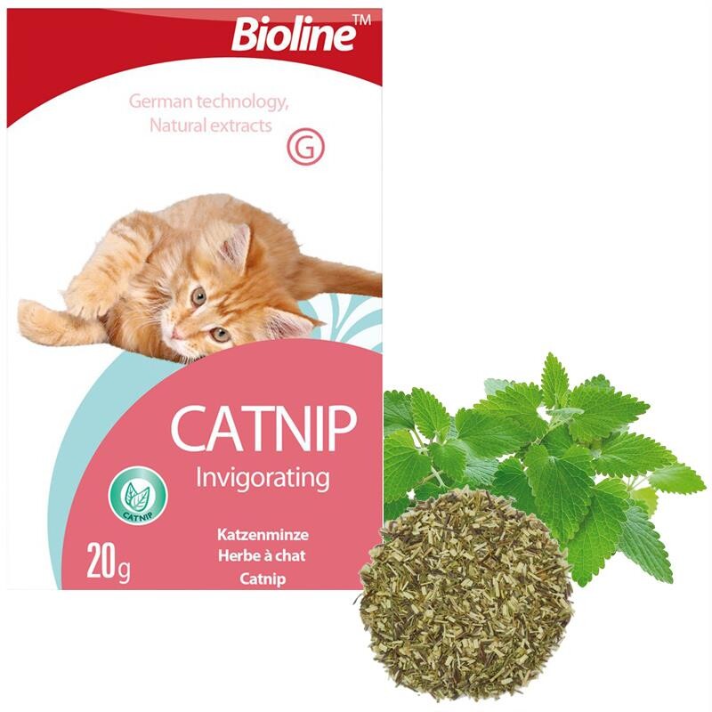 Bioline Catnip Doğal Kedi Nanesi 20 GR | SRC: Barcode: 6970117120370